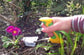 Easi Grip Garden Tools Set of 4 or Individual
